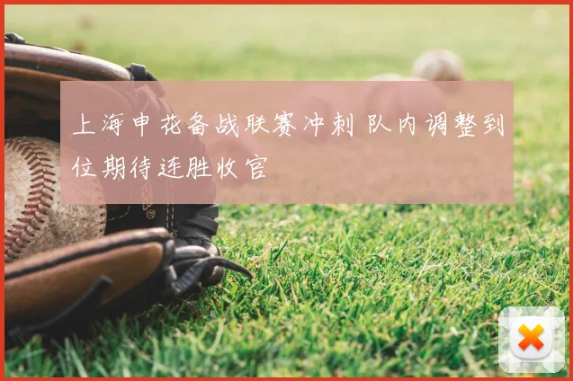 上海申花备战联赛冲刺 队内调整到位期待连胜收官