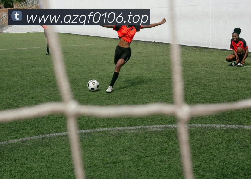 数据防护可视化